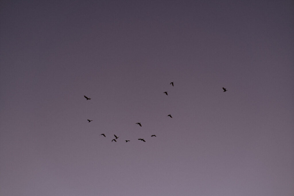 AnaAbel QuintaCastilho 0647