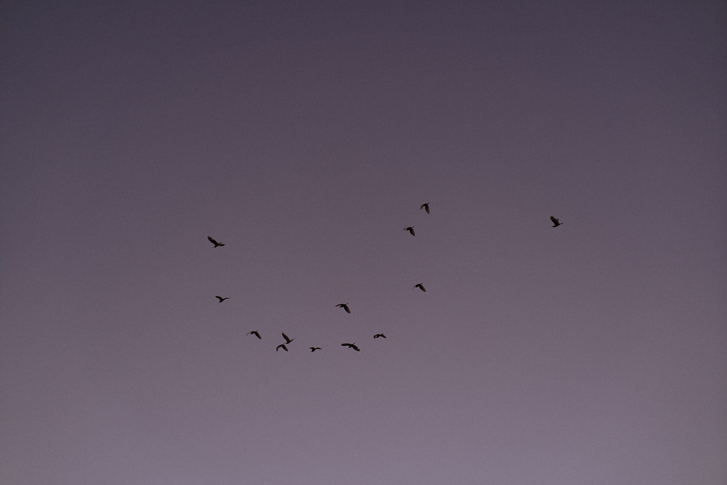 AnaAbel QuintaCastilho 0647