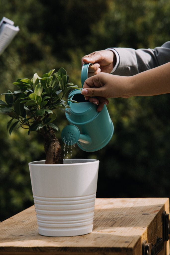 herdade emberiza wedding casamento rustic chic 065