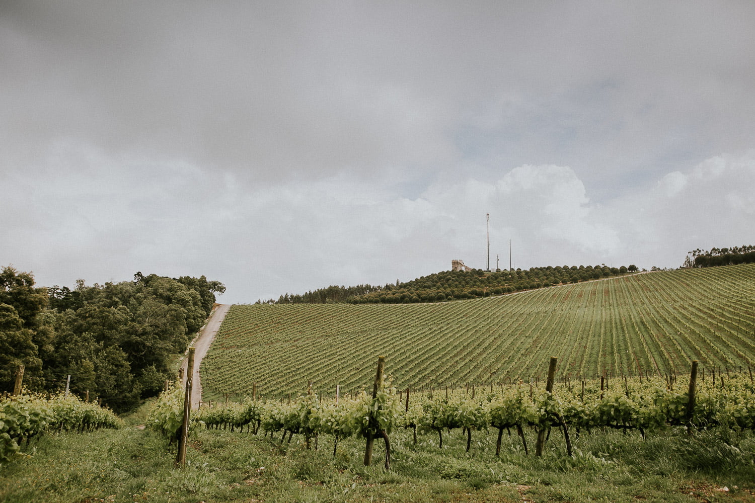 quinta do convento casamento luxo 003